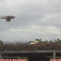 06_30-mast.jpg