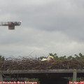 06_35-mast.jpg