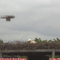 06_40-mast.jpg
