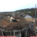 06_45-nest.jpg