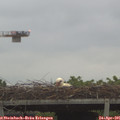 06_55-mast.jpg