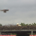 07_00-mast.jpg