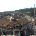 07_05-nest.jpg