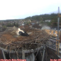 07_10-nest.jpg