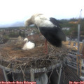 08_55-nest.jpg