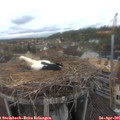 09_45-nest.jpg