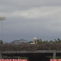 09_50-mast.jpg