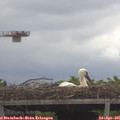 09_55-mast.jpg