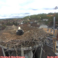 11_00-nest.jpg