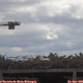 11_05-mast.jpg