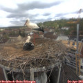 11_15-nest.jpg