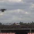 11_35-mast.jpg