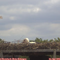 12_05-mast.jpg