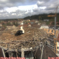 12_05-nest.jpg