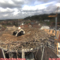 12_10-nest.jpg