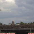 12_25-mast.jpg