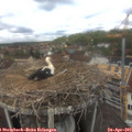 12_25-nest.jpg