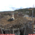 12_30-nest.jpg