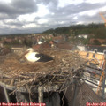 14_05-nest.jpg