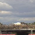 14_10-mast.jpg