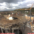 14_10-nest.jpg