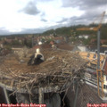 14_20-nest.jpg