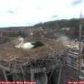 15_25-nest.jpg