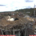 15_45-nest.jpg