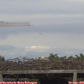 18_20-mast.jpg