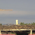 19_05-mast.jpg