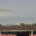 19_15-mast.jpg