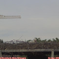 19_25-mast.jpg