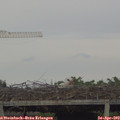 19_30-mast.jpg