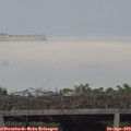 19_35-mast.jpg