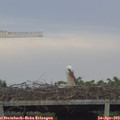 19_40-mast.jpg