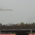 06_15-mast.jpg