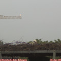 06_20-mast.jpg