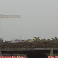 06_25-mast.jpg