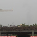 06_30-mast.jpg