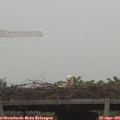 06_35-mast.jpg