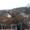 06_35-nest.jpg