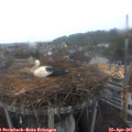 06_40-nest.jpg