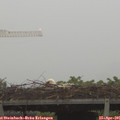 06_45-mast.jpg