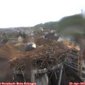 12_05-nest.jpg