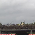 12_30-mast.jpg