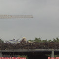 14_05-mast.jpg