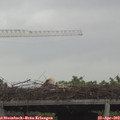 14_10-mast.jpg