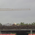 14_15-mast.jpg