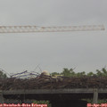 14_20-mast.jpg