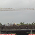 14_25-mast.jpg